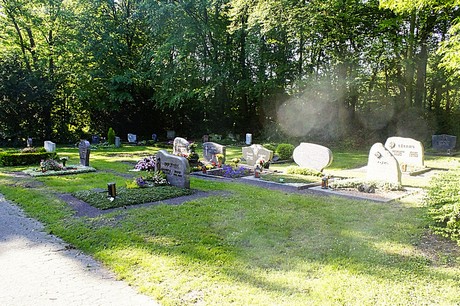 bruehl