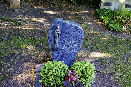 bruehl