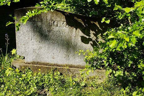 bruehl