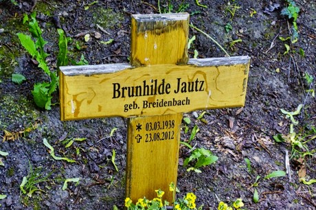 bruehl