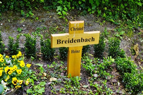 bruehl