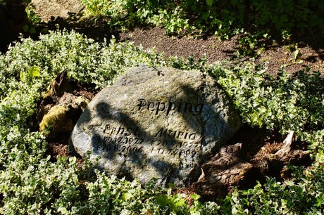 bruehl