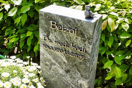 bruehl
