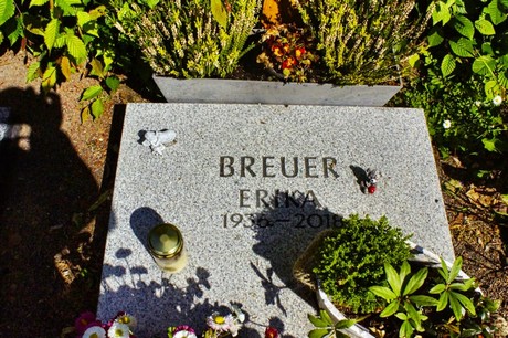 bruehl