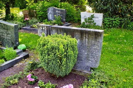 bruehl