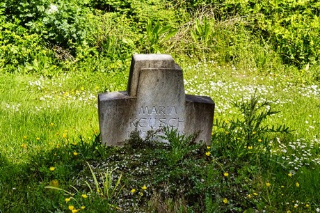 bruehl