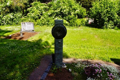 bruehl