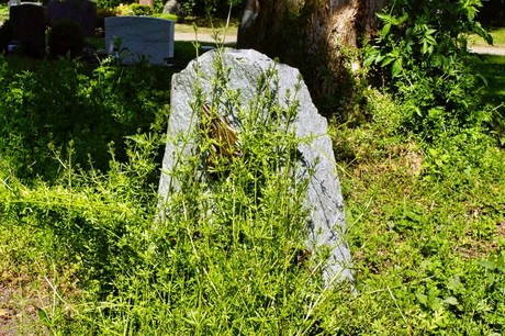 bruehl