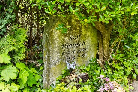 bruehl