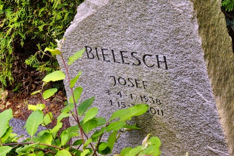 bruehl