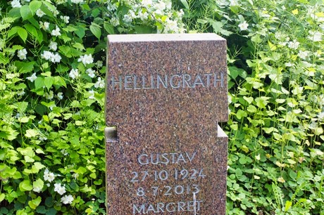 bruehl
