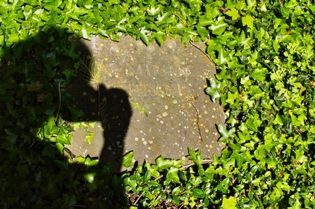 bruehl