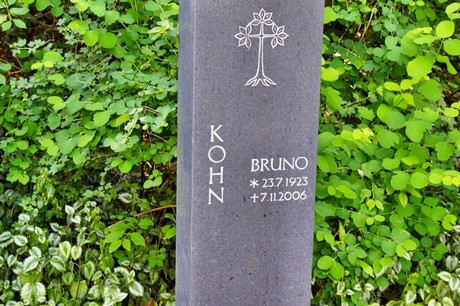 bruehl