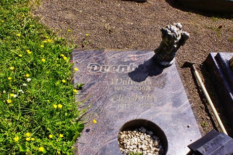 bruehl