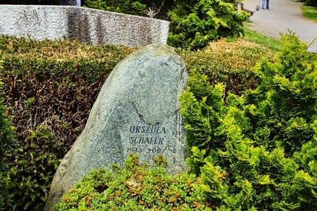 bruehl