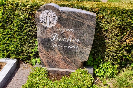 bruehl