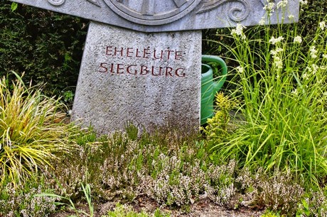 bruehl