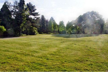 bruehl