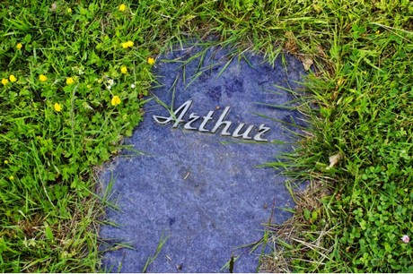 bruehl
