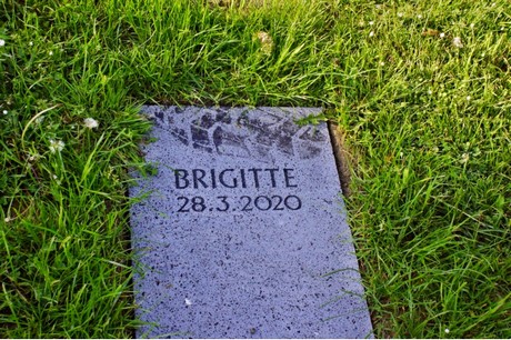 bruehl