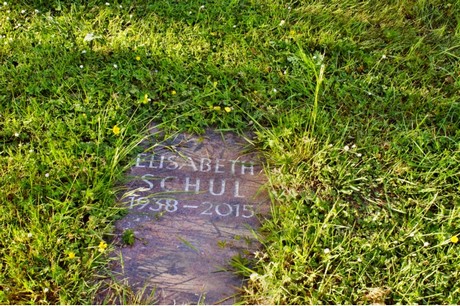 bruehl