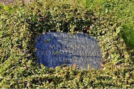bruehl