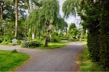 bruehl