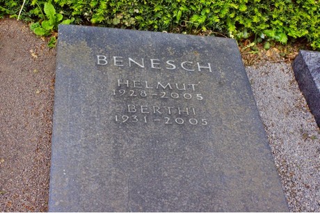 bruehl
