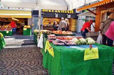 fruehlingsfest