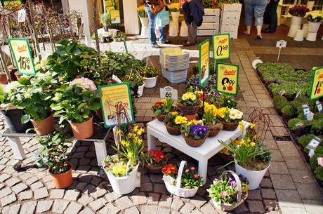 fruehlingsfest