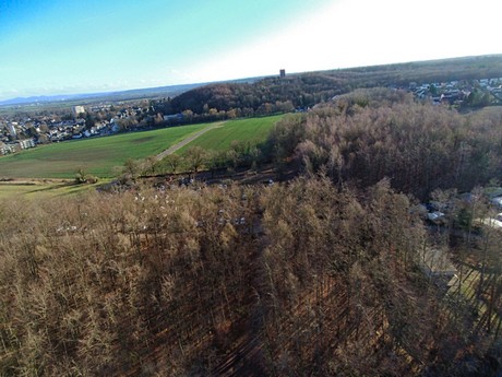 stadt