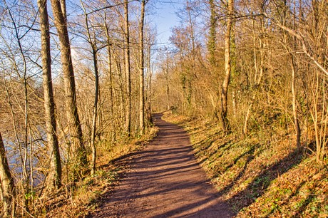 bruehl