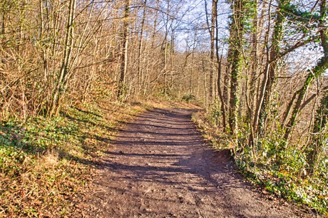 bruehl