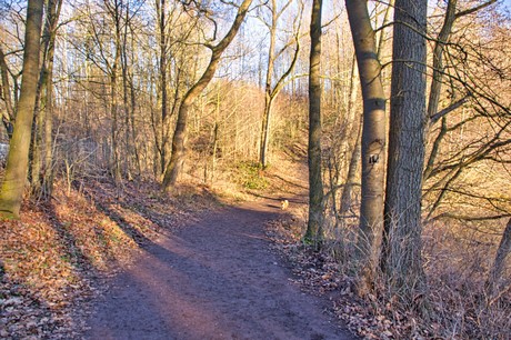 bruehl
