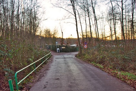 bruehl