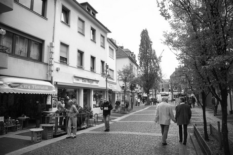 bleibtreusee