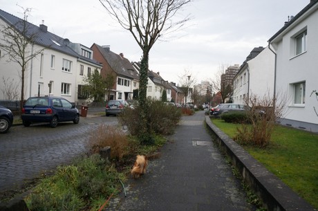 bruehl