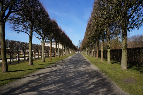 bruehl