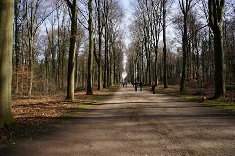 bruehl