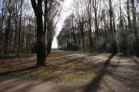 bruehl