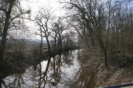 bruehl