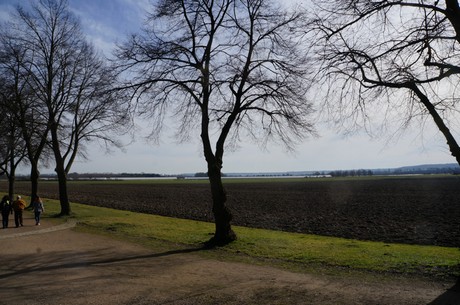bruehl