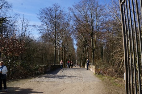 bruehl