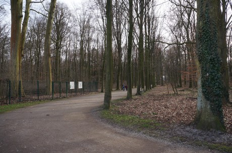bruehl