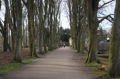 bruehl