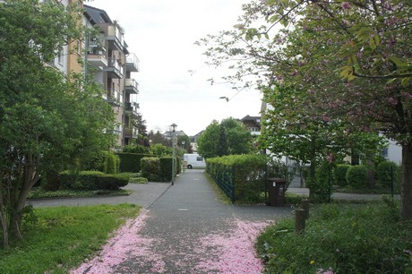 bruehl