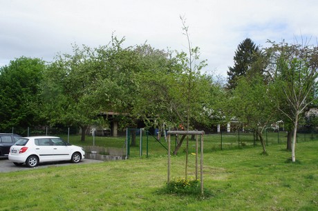 bruehl