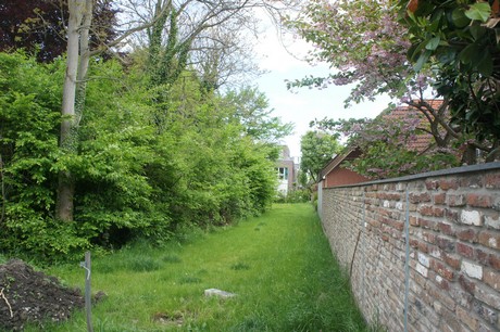 bruehl