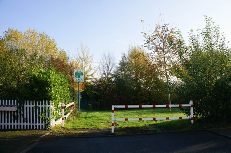 bruehl