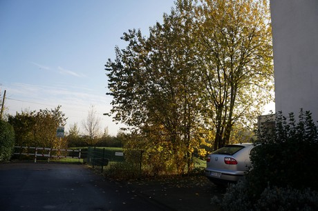 bruehl